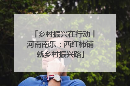 乡村振兴在行动丨河南南乐：西红柿铺就乡村振兴路