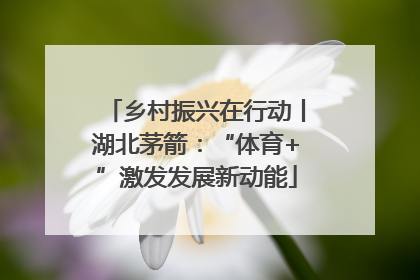 乡村振兴在行动丨湖北茅箭：“体育+”激发发展新动能