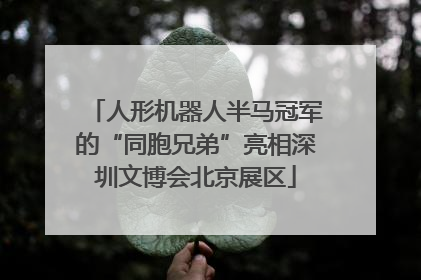 人形机器人半马冠军的“同胞兄弟”亮相深圳文博会北京展区