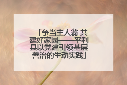 争当主人翁 共建好家园——平利县以党建引领基层善治的生动实践
