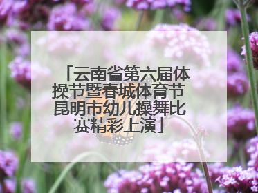 云南省第六届体操节暨春城体育节昆明市幼儿操舞比赛精彩上演