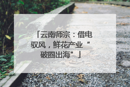 云南师宗：借电驭风，鲜花产业“破圈出海”
