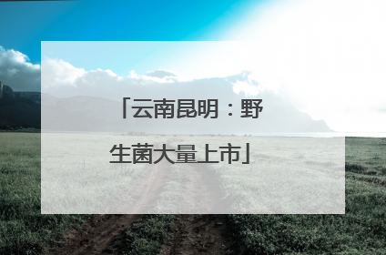 云南昆明：野生菌大量上市