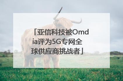 亚信科技被Omdia评为5G专网全球供应商挑战者