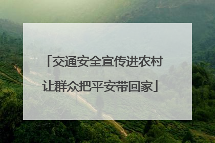 交通安全宣传进农村 让群众把平安带回家