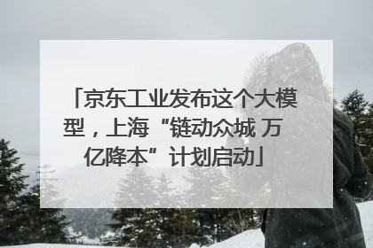 京东工业发布这个大模型，上海“链动众城 万亿降本”计划启动