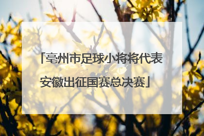 亳州市足球小将将代表安徽出征国赛总决赛