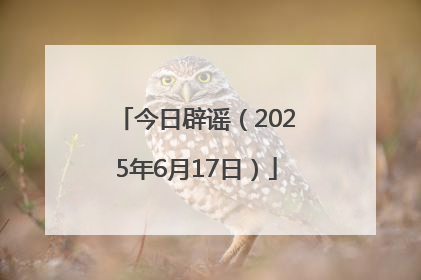 今日辟谣（2025年6月17日）