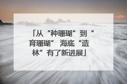 从“种珊瑚”到“育珊瑚” 海底“造林”有了新进展