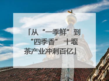从“一季鲜”到“四季香” 十堰茶产业冲刺百亿