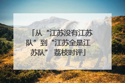 从“江苏没有江苏队”到“江苏全是江苏队” 荔枝时评