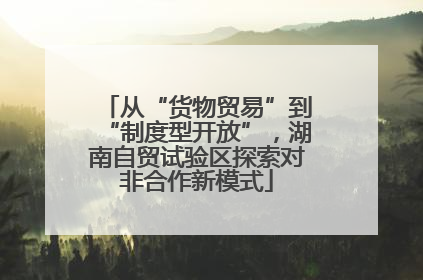 从“货物贸易”到“制度型开放”，湖南自贸试验区探索对非合作新模式