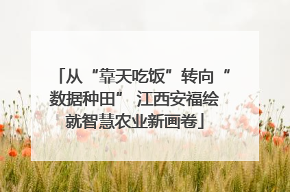 从“靠天吃饭”转向“数据种田” 江西安福绘就智慧农业新画卷