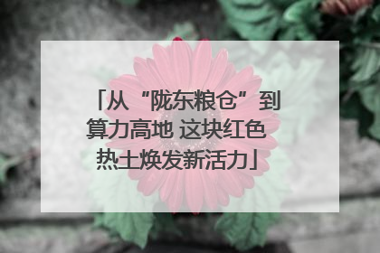 从“陇东粮仓”到算力高地 这块红色热土焕发新活力