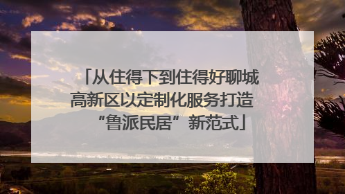 从住得下到住得好聊城高新区以定制化服务打造“鲁派民居”新范式