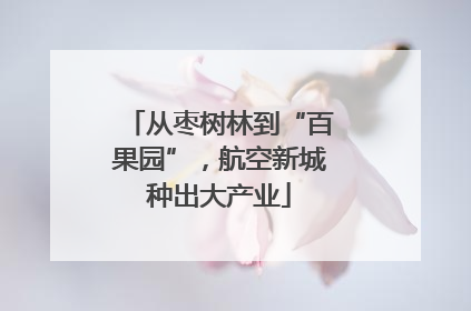 从枣树林到“百果园”，航空新城种出大产业