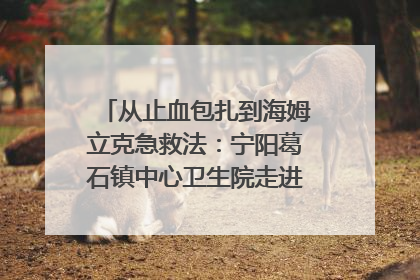 从止血包扎到海姆立克急救法：宁阳葛石镇中心卫生院走进这所中学，让师生get全套救命技能
