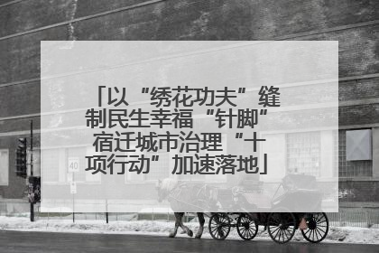 以“绣花功夫”缝制民生幸福“针脚” 宿迁城市治理“十项行动”加速落地