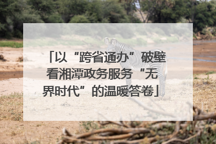 以“跨省通办”破壁 看湘潭政务服务“无界时代”的温暖答卷