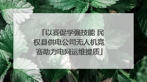 以赛促学强技能 民权县供电公司无人机竞赛助力电网运维提质