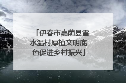 伊春市嘉荫县雪水温村厚植文明底色促进乡村振兴