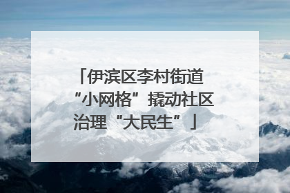 伊滨区李村街道 “小网格”撬动社区治理“大民生”