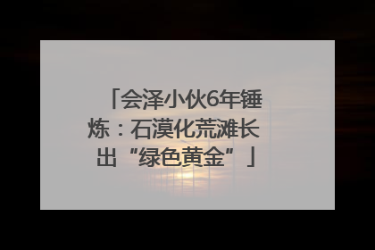 会泽小伙6年锤炼：石漠化荒滩长出“绿色黄金”