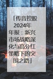 传音控股2024年年报：新兴市场战略深化与高分红策略下的突围之路