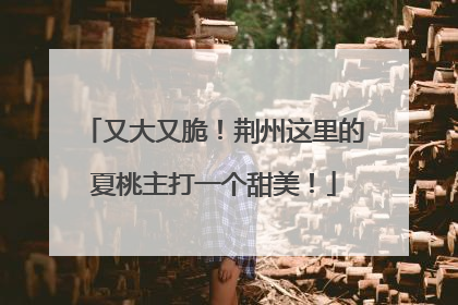 又大又脆！荆州这里的夏桃主打一个甜美！