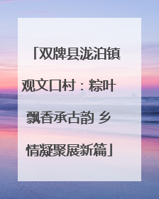 双牌县泷泊镇观文口村：粽叶飘香承古韵 乡情凝聚展新篇