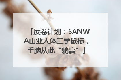 反卷计划：SANWA山业人体工学鼠标，手腕从此“躺赢”