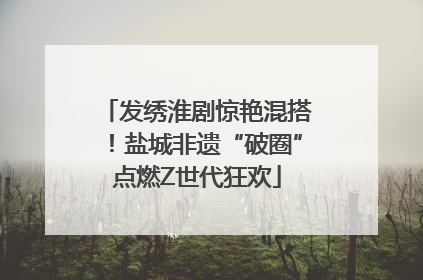 发绣淮剧惊艳混搭！盐城非遗“破圈”点燃Z世代狂欢