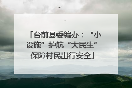 台前县委编办：“小设施”护航“大民生” 保障村民出行安全