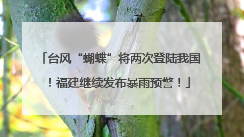 台风“蝴蝶”将两次登陆我国！福建继续发布暴雨预警！
