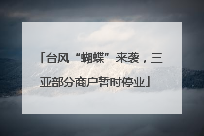 台风“蝴蝶”来袭，三亚部分商户暂时停业