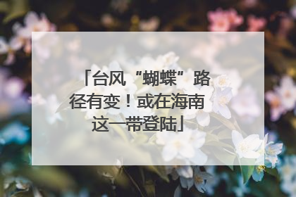 台风“蝴蝶”路径有变！或在海南这一带登陆
