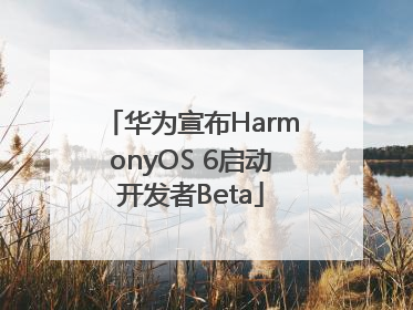 华为宣布HarmonyOS 6启动开发者Beta