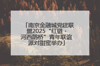 南京金融城党建联盟2025“红链・河西鹊桥”青年联谊派对甜蜜举办