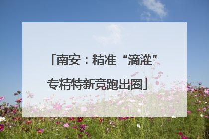 南安：精准“滴灌”专精特新竞跑出圈