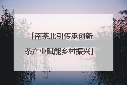 南茶北引传承创新 茶产业赋能乡村振兴