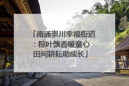 南通崇川幸福街道：粽叶飘香暖童心 田间耕耘助成长