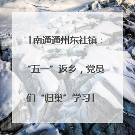南通通州东社镇：“五一”返乡，党员们“归巢”学习
