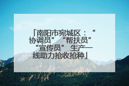 南阳市宛城区：“协调员”“帮扶员”“宣传员” 生产一线助力抢收抢种