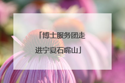 博士服务团走进宁夏石嘴山