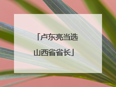 卢东亮当选山西省省长