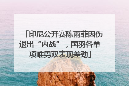 印尼公开赛陈雨菲因伤退出“内战”，国羽各单项唯男双表现差劲