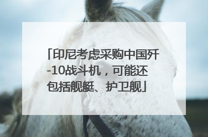 印尼考虑采购中国歼-10战斗机，可能还包括舰艇、护卫舰