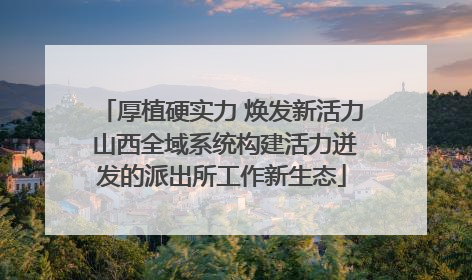 厚植硬实力 焕发新活力 山西全域系统构建活力迸发的派出所工作新生态
