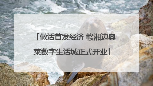 做活首发经济 赣湘边奥莱数字生活城正式开业