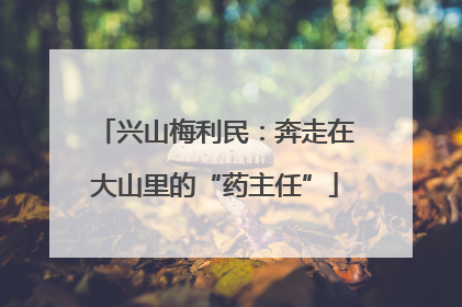 兴山梅利民：奔走在大山里的“药主任”